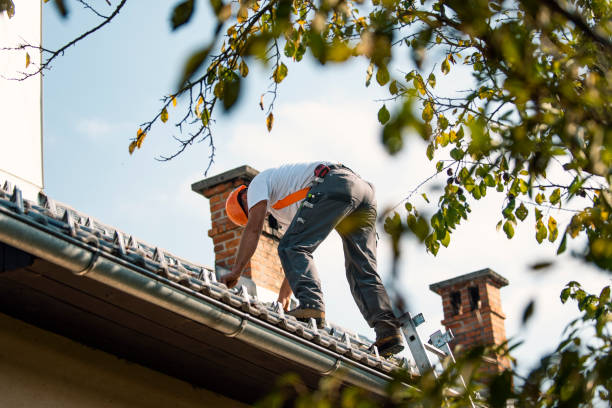 Best Rubber Roofing (EPDM, TPO)  in Dansville, NY