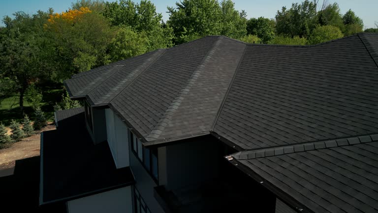 Best Asphalt Shingle Roofing  in Dansville, NY