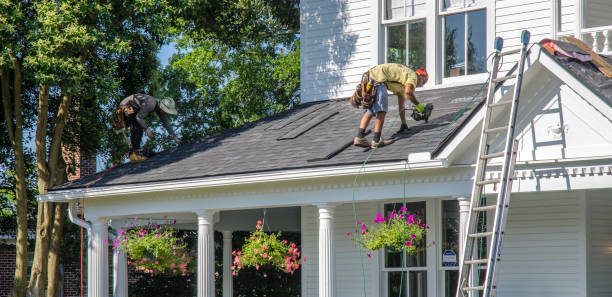 Best Chimney Flashing Repair  in Dansville, NY